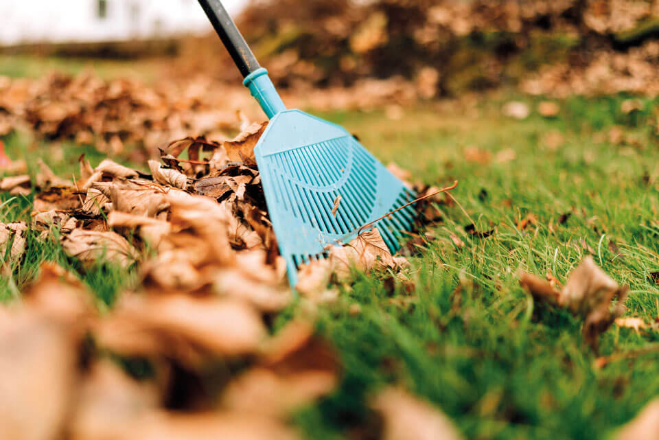 Saisonale Gartenarbeiten in Warendorf mit Frühjahrs- und Herbstpflege, Laubentfernung und Wintervorbereitung